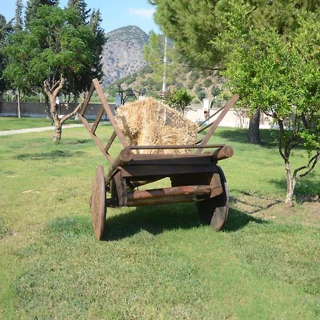 Oasis Apart Hotel Dalyan Ngoại thất bức ảnh